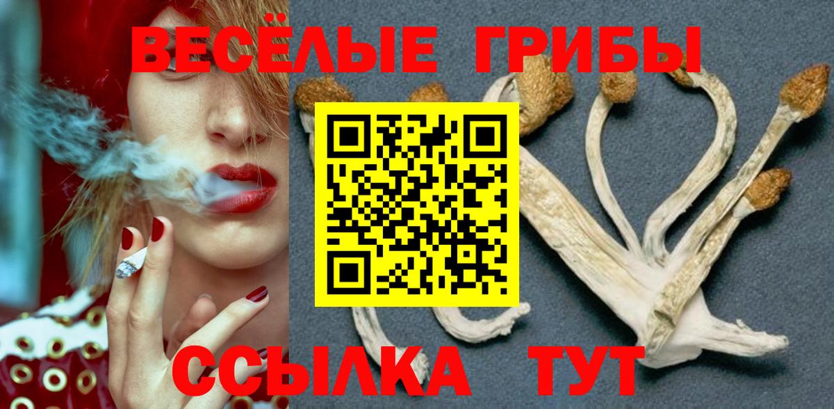 Псилоцибиновые грибы MAGIC MUSHROOMS Ишимбай